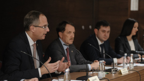 Делегаты Шлезвиг-Гольштейн в Воронеже: санкции увеличили инвестиции в российский бизнес