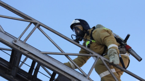 В Воронежской области добровольцы потушили 500 пожаров в 2016 году