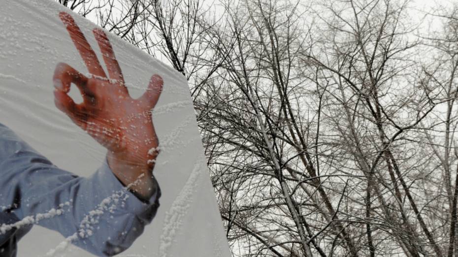 Метеорологи: в ночь на воскресенье в Воронеже пойдет снег