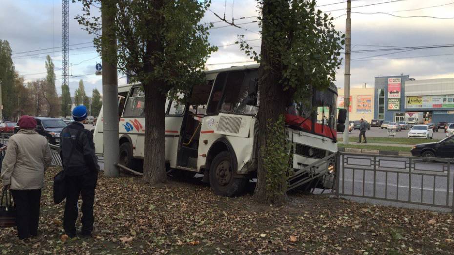 В Воронеже маршрутка №66 врезалась в дерево: пострадала пассажирка