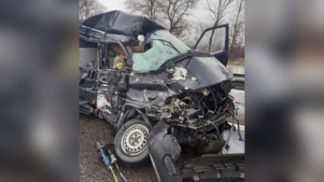 В лобовом столкновении микроавтобуса и фуры под Воронежем погиб пассажир Volkswagen