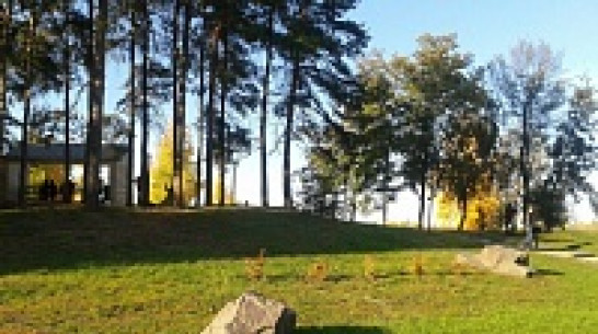 Воронежские синоптики не прогнозируют повторения «горящего лета-2010»