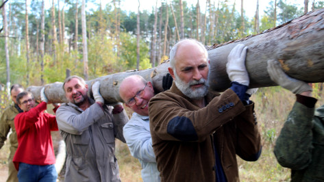 Двойная польза. Житель Воронежа в Северном лесу собирает валежник и передает его бойцам на СВО