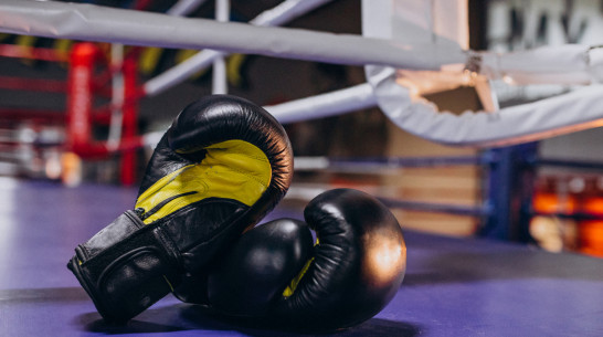 Верхнемамонцы выиграли 2 «золота» на областном турнире по кикбоксингу