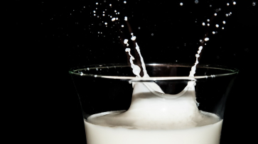 Росстандарт запланировал изменить ГОСТ для борьбы с фальшивым молоком