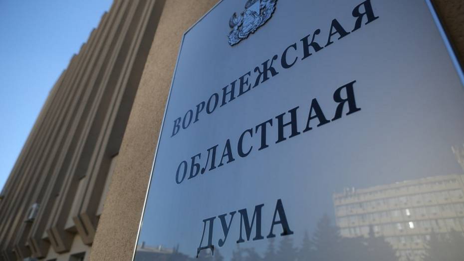 Правительство Воронежской области внесло на рассмотрение в облдуму проект бюджета на 2026–2028 годы