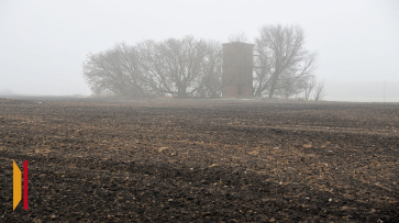 Воронежцев предупредили о тумане ночью и утром 6 ноября