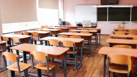 В Воронеже младшеклассников переведут на дистант из-за сильных холодов 2 и 3 февраля