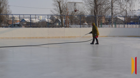 В Воробьевке откроют каток