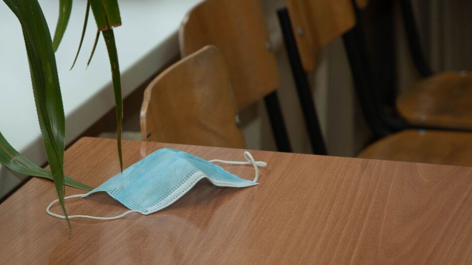 Из-за коронавируса в Воронеже закрыли 71 класс в 43 школах