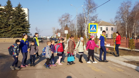 Более 200 тыс жителей Воронежской области приняли участие в акции «Дорожный патруль»