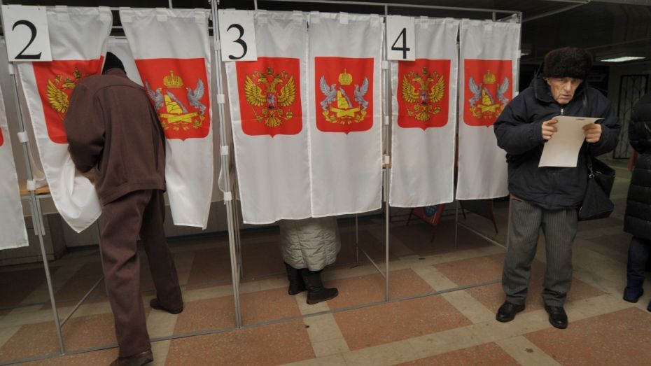К 12:00 явка на выборах в Воронежской области составила 16,82%