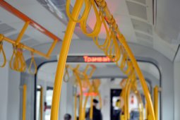 Трамвай вместо метро? Институт Генплана Москвы выдал свое видение будущего Воронежа