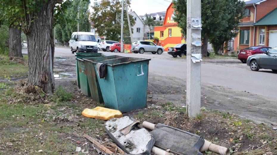 Борисоглебские власти предложили убрать мусорные баки в центре города