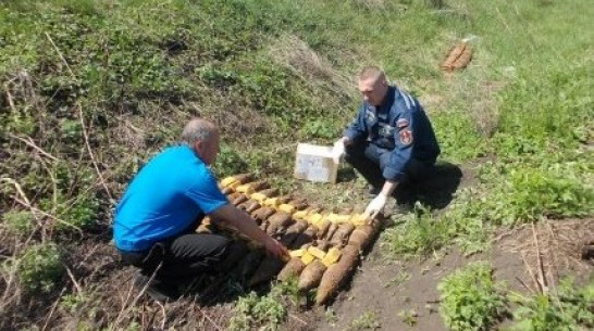 Воронежские взрывотехники уничтожили более 230 боеприпасов времен войны