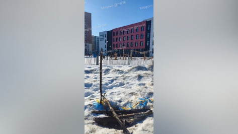 Воронежец, гулявший с ребенком возле школы, провалился в открытый люк