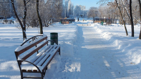 Первые мартовские выходные в Воронеже будут морозными и снежными