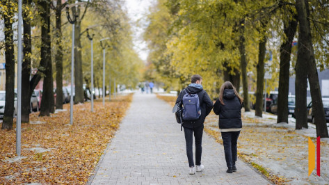 Обзор РИА «Воронеж». Какие законы вступают в силу в ноябре 2025 года