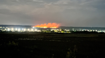 Огненное зарево в воронежском селе Стрелица попало на видео