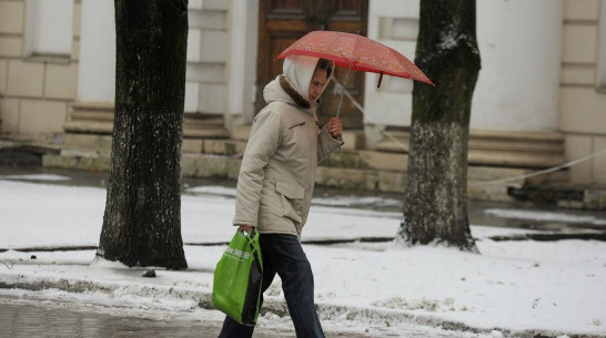 В Воронеже начало февраля будет дождливым