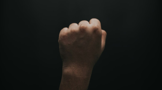 Пьяный воронежец ударил полицейского кулаком в лицо