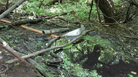 Русло реки под Воронежем забили строительным мусором, чтобы запитать пруд