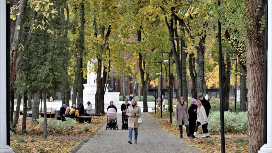 Воронежцев ждет сухая и теплая неделя