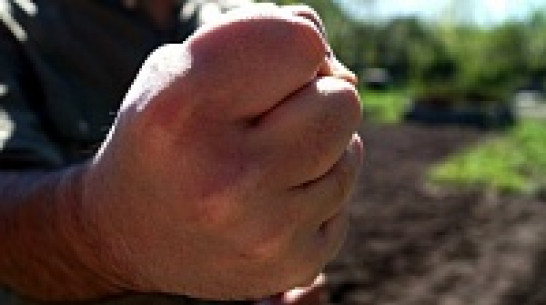 Житель Нижнедевицкого района сломал земляку челюсть