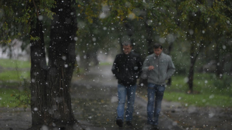 Метеорологи пообещали потепление в Воронеже на последней неделе осени  