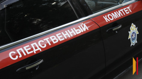 Глава СК поставил на контроль ход расследования гибели 11-летнего мальчика на Воронежском водохранилище