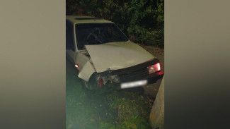 Под Воронежем пьяный водитель «девятки» врезался в столб: пострадала 25-летняя девушка