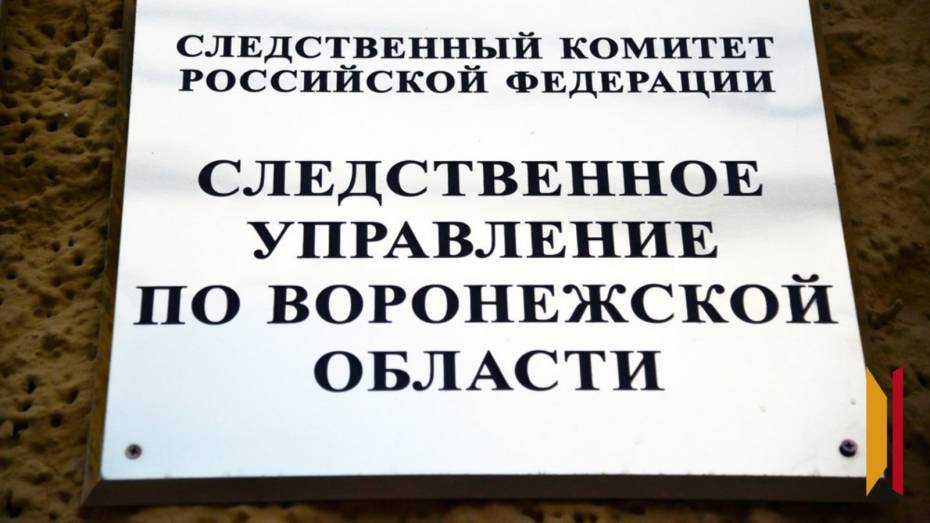 Губернатор Воронежской области Александр Гусев поздравил следователей с профессиональным праздником