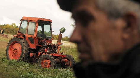 Житель Воронежской области смошенничал с грантом сына-фермера и попал под уголовное дело