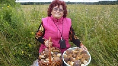 В Павловском районе открылся грибной сезон