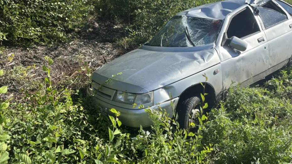 В Воронежской области водитель ВАЗ сбил косулю и попал в больницу