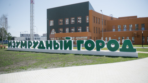 Мегасадом «Изумрудный город» будет руководить супруга мэра Воронежа