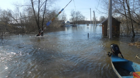 Власти сэкономят 12 млн рублей на определении зон подтопления в Воронежской области