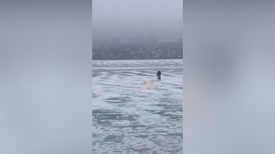 Смертельно рискующего велосипедиста сняли на видео на Воронежском водохранилище