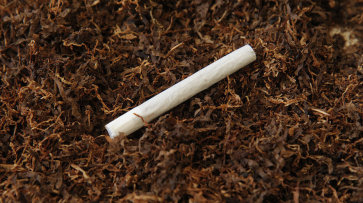 У борисоглебского предпринимателя изъяли поддельные сигареты на сумму около 1,5 млн рублей