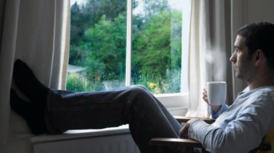 Почти 244 тысячи жителей Воронежа и области живут одни