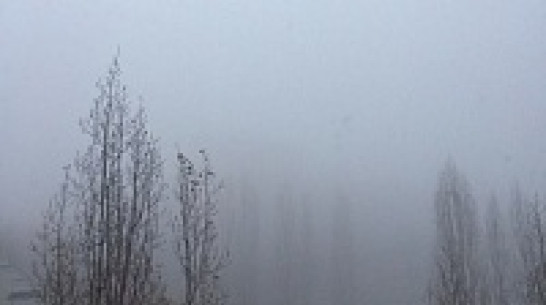 К концу рабочей недели в Воронеже похолодает