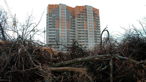 Воронежские строители начали вырубку в яблоневом саду 