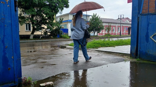 В Павловске за июнь выпала почти двойная норма осадков
