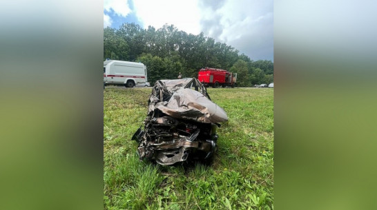 Установлены личности погибших в ДТП с грузовиком и Renault Duster в Воронежской области