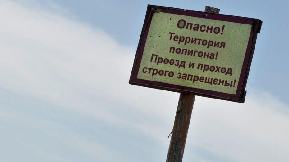 В Воронеже во время уборки нашли ручную гранату