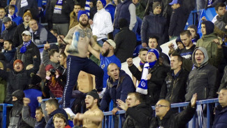 Болельщики «Динамо» потребовали наказать полицейского после матча в Воронеже