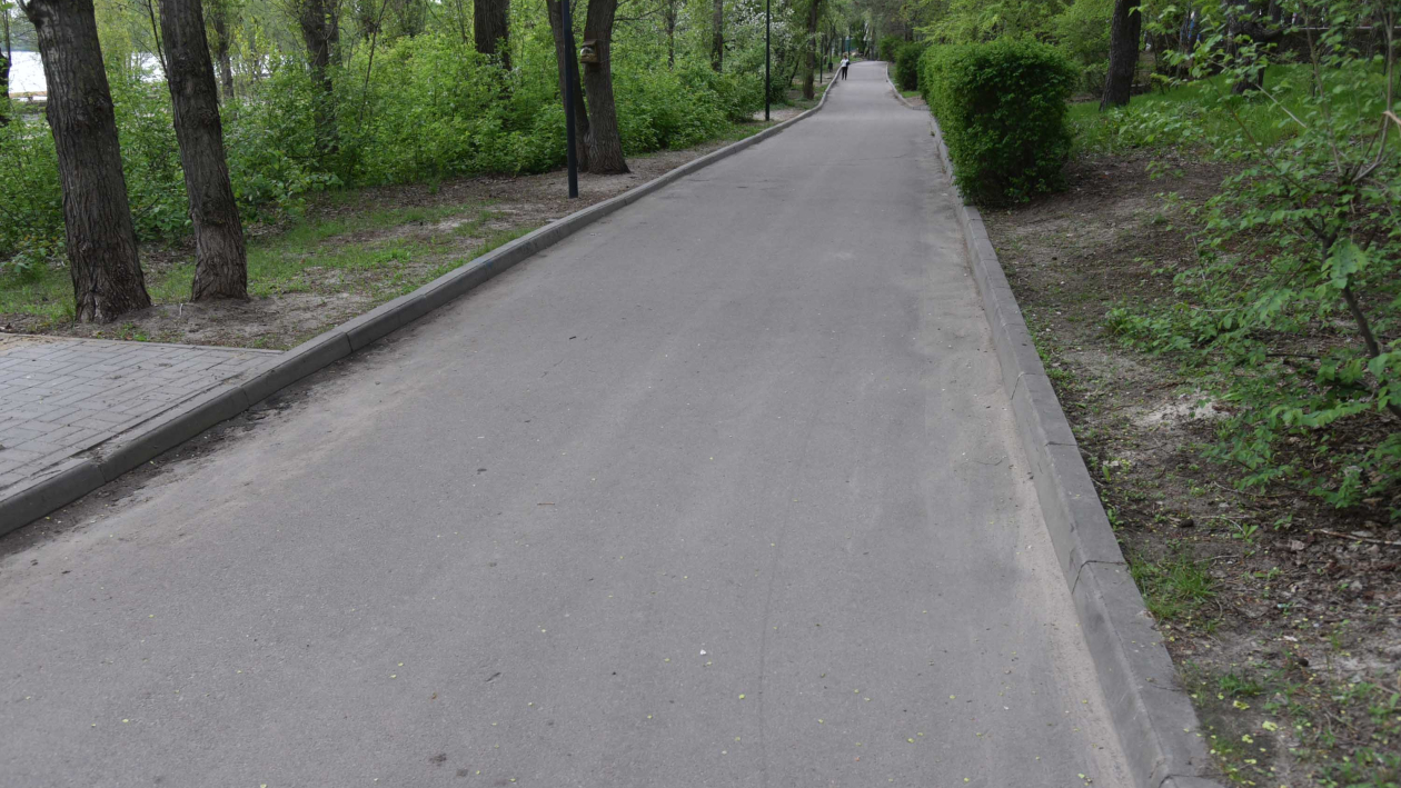 Безопасность и «Трасса здоровья». Что показали мэру Воронежа в обновляемом парке «Дельфин»