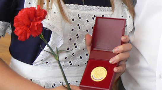Почти пять с половиной процентов выпускников воронежских школ получили золотые медали