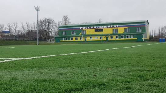 Оборудование для ухода за футбольным полем приобрели для Подгоренской ДЮСШ