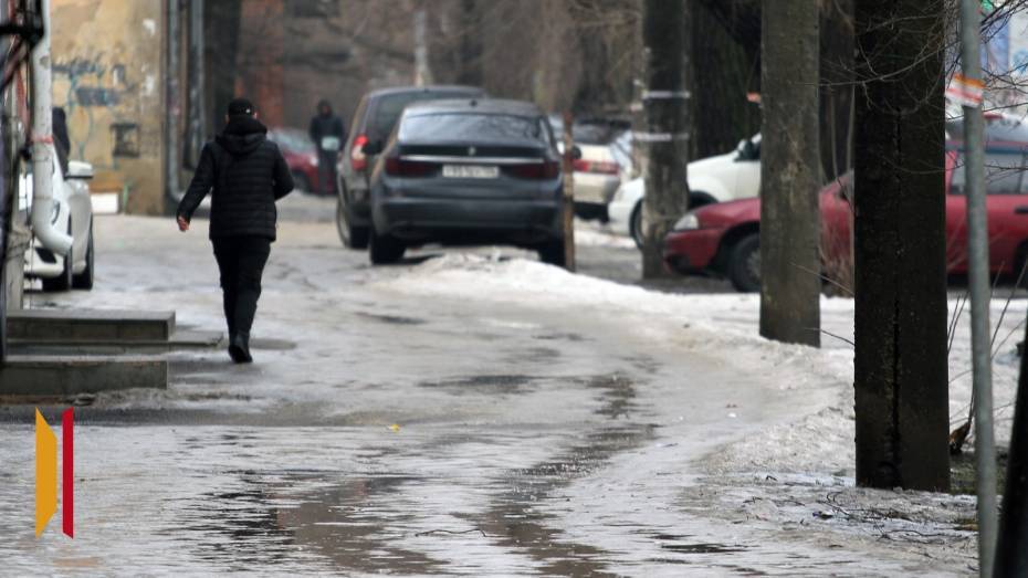 За плохую уборку улиц и дворов в Ленинском районе Воронежа возбудили 9 административных дел